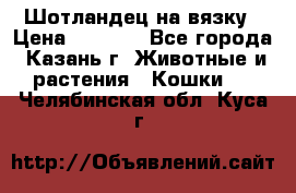 Шотландец на вязку › Цена ­ 1 000 - Все города, Казань г. Животные и растения » Кошки   . Челябинская обл.,Куса г.